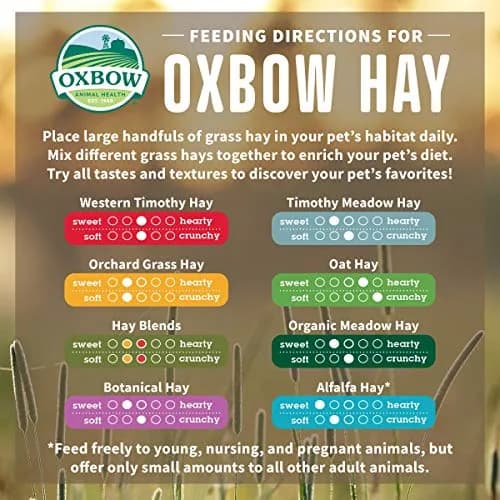 Oxbow Timothy Hay for Rabbits & Guinea Pigs, 15 oz (425 g) Pack of 2 | High Fiber Digestive Health thumbnail 4