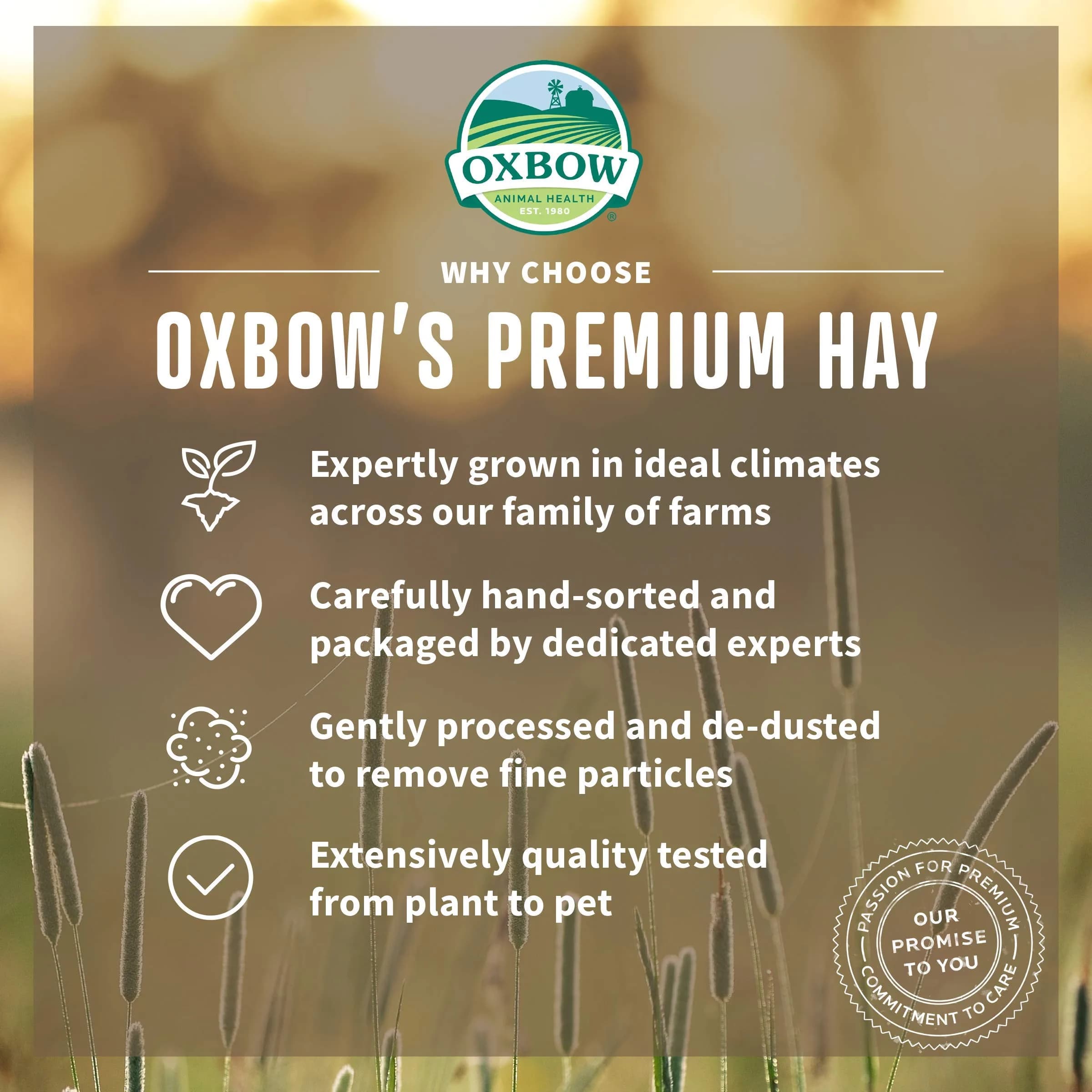 Oxbow Timothy Hay for Rabbits & Guinea Pigs, 15 oz (425 g) Pack of 2 | High Fiber Digestive Health - view 3