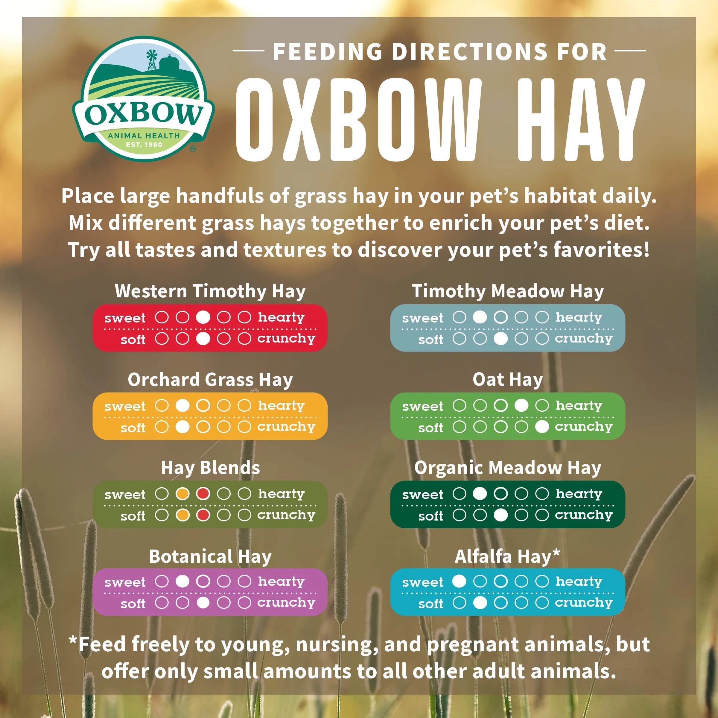 Oxbow Timothy Hay for Rabbits & Guinea Pigs, 15 oz (425 g) Pack of 2 | High Fiber Digestive Health - view 4