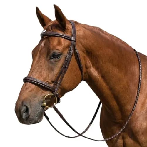 Henri de Rivel Advantage Mono-Crown Padded Bridle - Havana - Cob | Comfortable, Traditional Equestrian Tack thumbnail 1