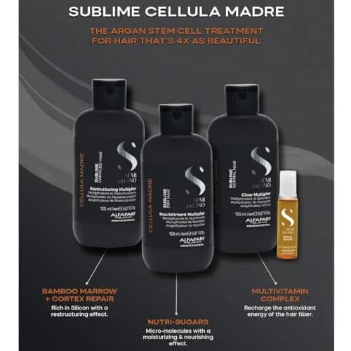 ALFAPARF MILANO Semi di Lino Cellula Madre Hair Treatment Set for Damaged Hair | Argan Stem Cell Therapy for All Hair Types thumbnail 5
