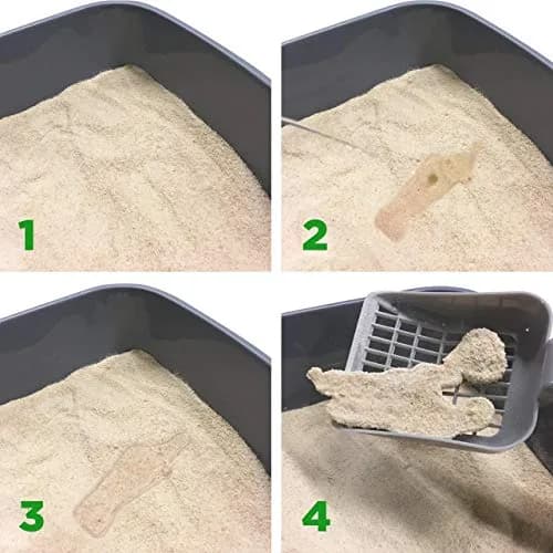 almo nature Natural Cat Litter 9.08 kg (20 lb) Pack of 4 | Odor Control & Flushable thumbnail 7