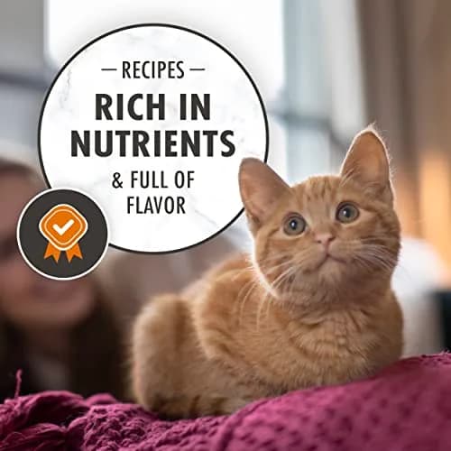 Nutro Wholesome Essentials Kitten Natural Dry Cat Food for Early Development Farm-Raised Chicken & Brown Rice Recipe, 3 lb. Bag (Pack of 2) | Supports Growth & Immunity thumbnail 6