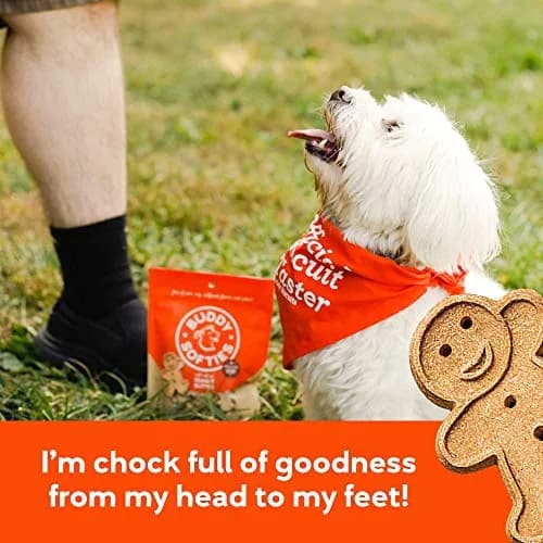 Buddy Biscuits Peanut Butter Dog Treats 8 oz Pouch | Soft & Chewy, Oven Baked in The USA thumbnail 4