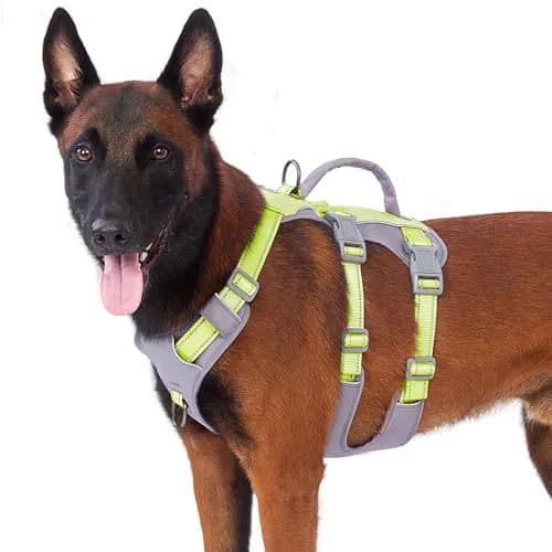 Huntboo Escape Proof Dog Harness with Lift Handle, Bright Green L | Breathable, Reflective, Adjustable Vest for Large Dogs thumbnail 1