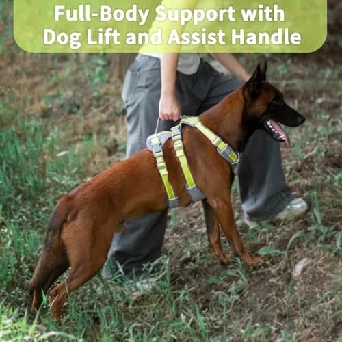 Huntboo Escape Proof Dog Harness with Lift Handle, Bright Green L | Breathable, Reflective, Adjustable Vest for Large Dogs thumbnail 4