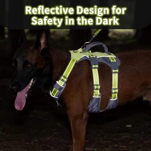 Huntboo Escape Proof Dog Harness with Lift Handle, Bright Green L | Breathable, Reflective, Adjustable Vest for Large Dogs thumbnail 3