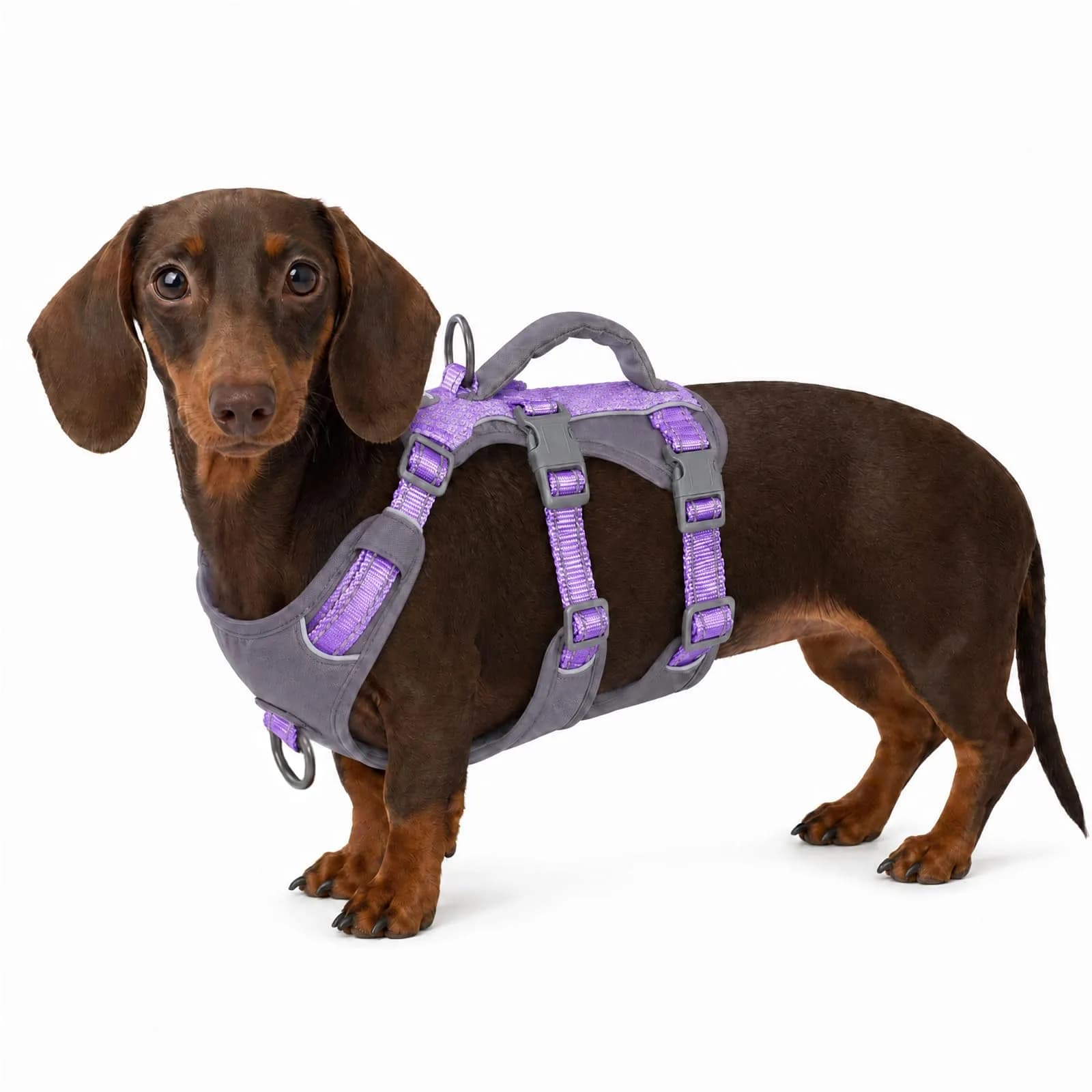 Huntboo Escape Proof Dog Harness with Handle, Lavender Purple, Size S | No-Pull, Breathable, Reflective, Adjustable Lift Harness for Small, Medium, Large Dogs - main product image