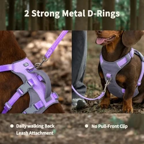 Huntboo Escape Proof Dog Harness with Handle, Lavender Purple, Size S | No-Pull, Breathable, Reflective, Adjustable Lift Harness for Small, Medium, Large Dogs thumbnail 6