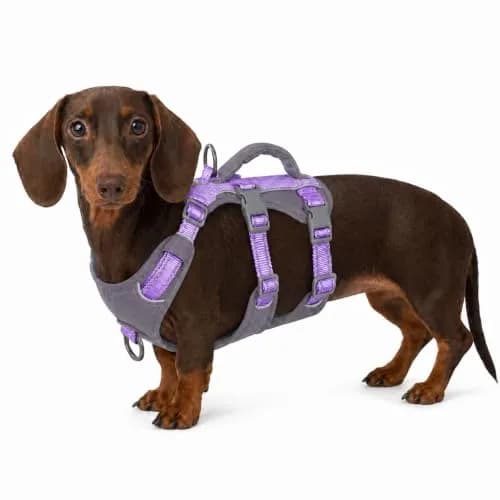 Huntboo Escape Proof Dog Harness with Handle, Lavender Purple, Size S | No-Pull, Breathable, Reflective, Adjustable Lift Harness for Small, Medium, Large Dogs thumbnail 1