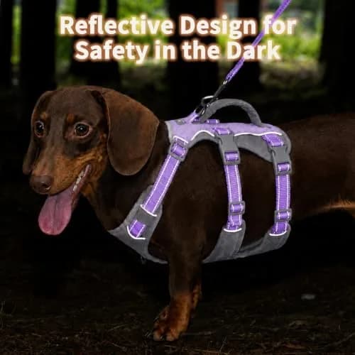 Huntboo Escape Proof Dog Harness with Handle, Lavender Purple, Size S | No-Pull, Breathable, Reflective, Adjustable Lift Harness for Small, Medium, Large Dogs thumbnail 3