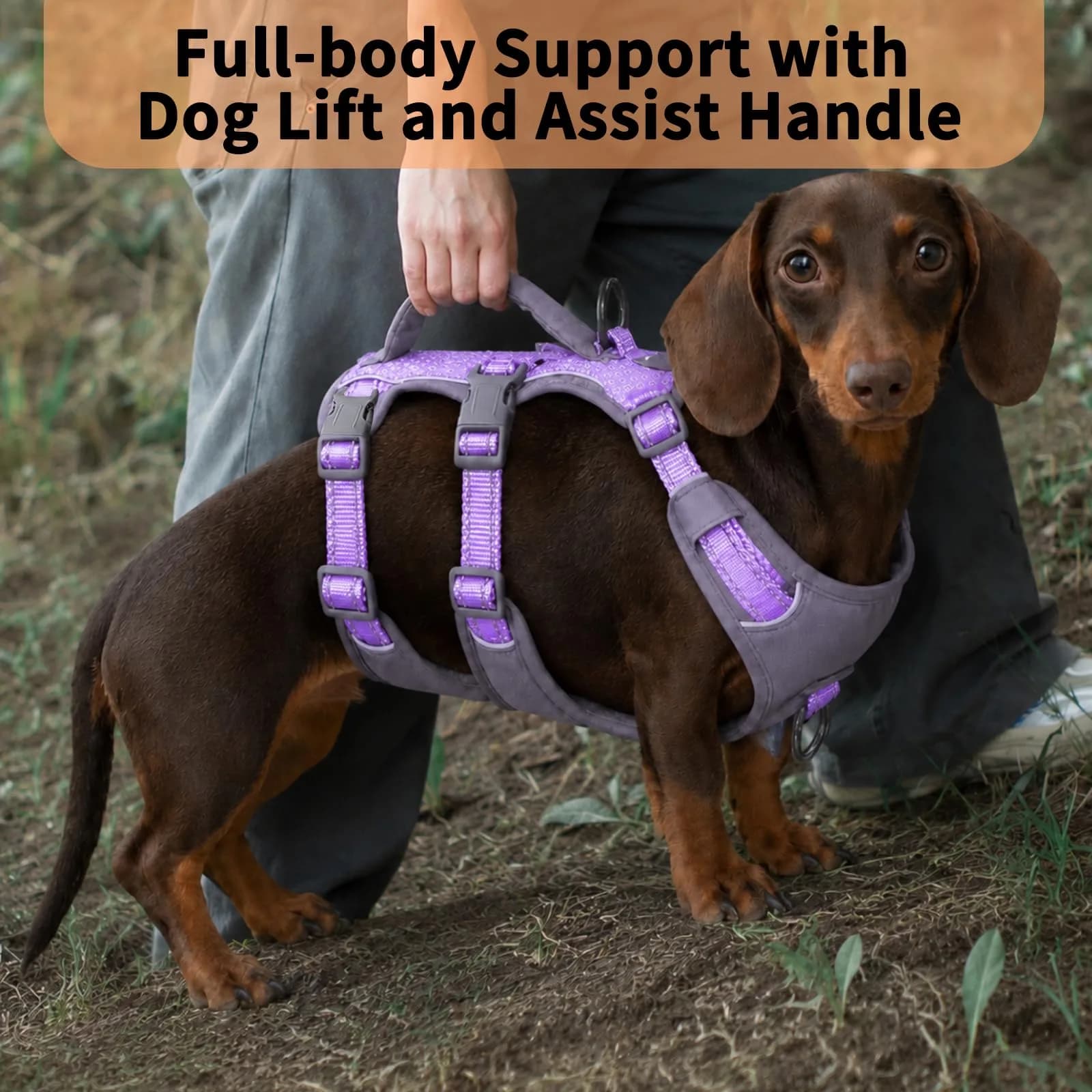 Huntboo Escape Proof Dog Harness with Handle, Lavender Purple, Size S | No-Pull, Breathable, Reflective, Adjustable Lift Harness for Small, Medium, Large Dogs - view 4