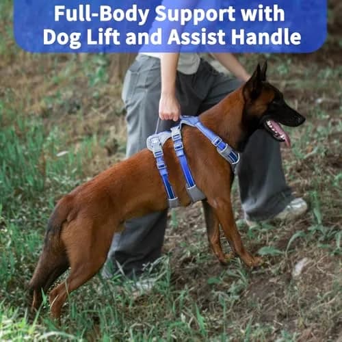 Huntboo Escape Proof Dog Harness with Lift Handle, Sea Blue M | Breathable, Reflective, Adjustable Vest for Small, Medium, Large Dogs thumbnail 4