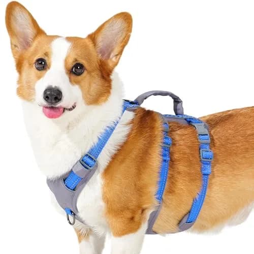 Huntboo Escape Proof Dog Harness with Lift Handle, Sea Blue M | Breathable, Reflective, Adjustable Vest for Small, Medium, Large Dogs thumbnail 1