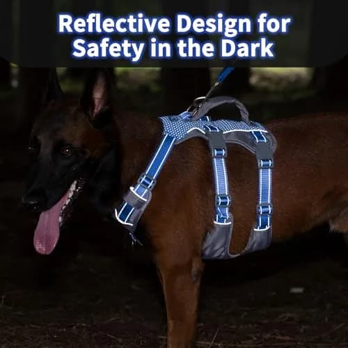 Huntboo Escape Proof Dog Harness with Lift Handle, Sea Blue M | Breathable, Reflective, Adjustable Vest for Small, Medium, Large Dogs thumbnail 2