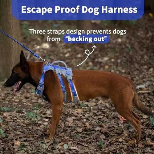Huntboo Escape Proof Dog Harness with Lift Handle, Sea Blue M | Breathable, Reflective, Adjustable Vest for Small, Medium, Large Dogs thumbnail 3