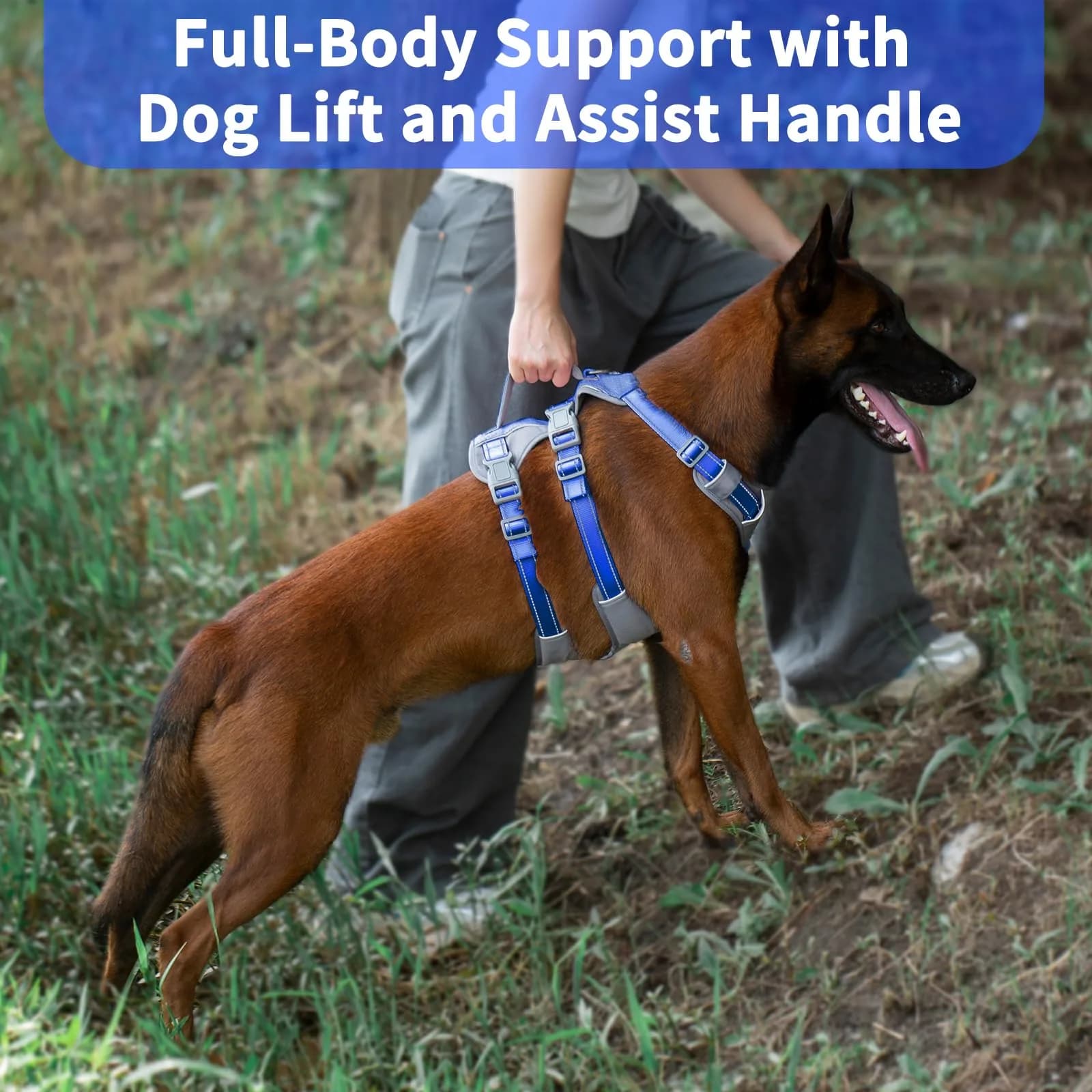 Huntboo Escape Proof Dog Harness with Lift Handle, Sea Blue M | Breathable, Reflective, Adjustable Vest for Small, Medium, Large Dogs - view 4
