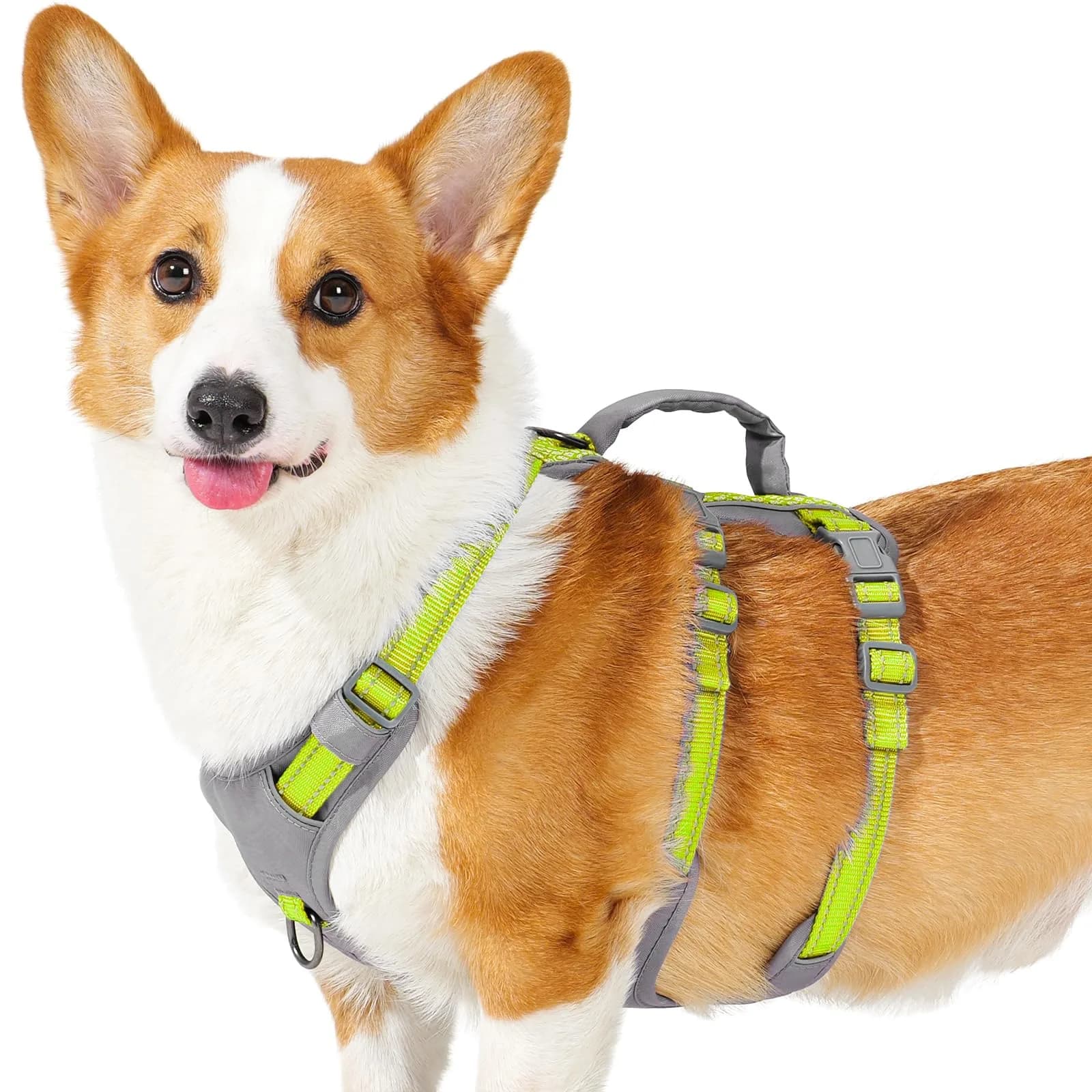 Huntboo Escape Proof Dog Harness with Handle, Bright Green M | No-Pull, Breathable, Reflective, Adjustable Lift Harness for Dogs - main product image
