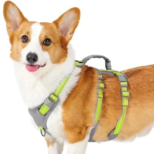 Huntboo Escape Proof Dog Harness with Handle, Bright Green M | No-Pull, Breathable, Reflective, Adjustable Lift Harness for Dogs thumbnail 1