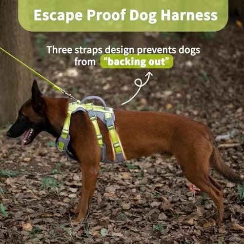 Huntboo Escape Proof Dog Harness with Handle, Bright Green M | No-Pull, Breathable, Reflective, Adjustable Lift Harness for Dogs thumbnail 2