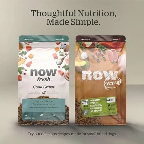 Now Fresh Good Gravy Small Breed Adult Dry Dog Food, Chicken, 12 lb | Supports Digestion & Weight Management thumbnail 6