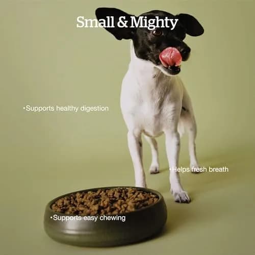 Now Fresh Good Gravy Small Breed Adult Dry Dog Food, Chicken, 12 lb | Supports Digestion & Weight Management thumbnail 3