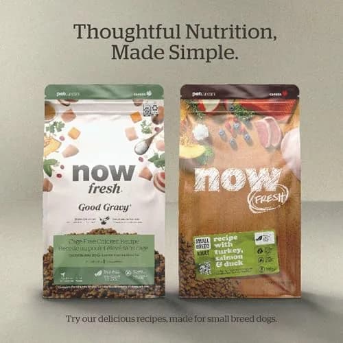 Now Fresh Good Gravy Small Breed Adult Dry Dog Food, Salmon, 3.5 lb | Supports Digestion & Weight Control thumbnail 6
