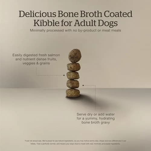 Now Fresh Good Gravy Salmon Recipe Dog Food 22 lb | Bone Broth Coated Kibble for All Sizes thumbnail 4