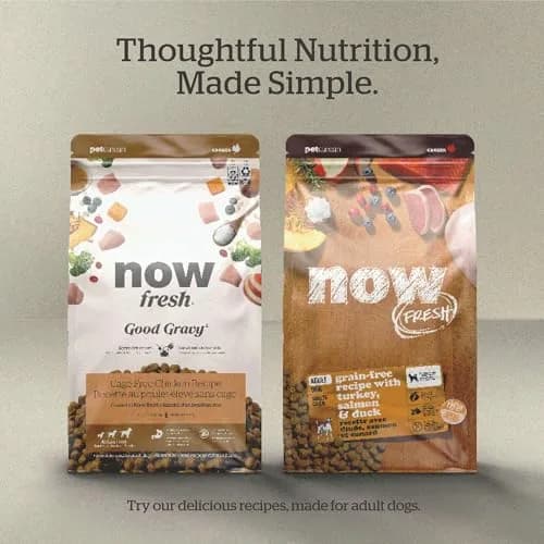 Now Fresh Good Gravy Salmon Recipe Dog Food 22 lb | Bone Broth Coated Kibble for All Sizes thumbnail 6