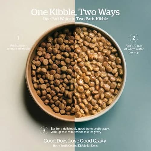 Now Fresh Good Gravy Salmon Recipe Dog Food 22 lb | Bone Broth Coated Kibble for All Sizes thumbnail 2