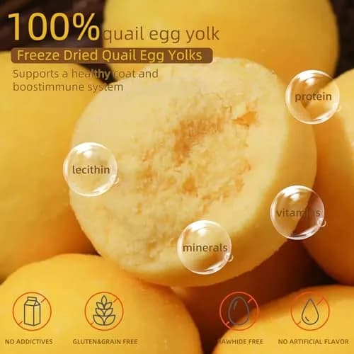 Hkpetty Freeze Dried Cats and Dogs Treats Quail Egg Yolk 1 Count | Natural Wholesome Pet Snack thumbnail 5