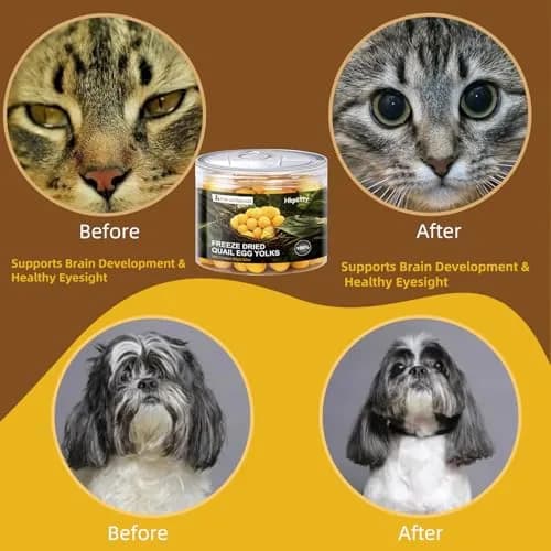 Hkpetty Freeze Dried Cats and Dogs Treats Quail Egg Yolk 1 Count | Natural Wholesome Pet Snack thumbnail 6