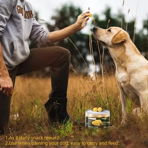 Hkpetty Freeze Dried Cats and Dogs Treats Quail Egg Yolk 1 Count | Natural Wholesome Pet Snack thumbnail 7