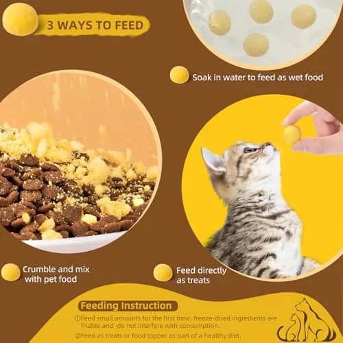 Hkpetty Freeze Dried Cats and Dogs Treats Quail Egg Yolk 1 Count | Natural Wholesome Pet Snack thumbnail 4