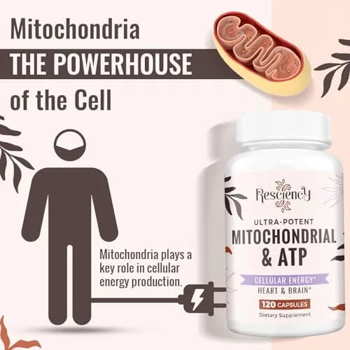 Resciency 2326 MG Mitochondrial Supplements with ATP, Vitamins, CoQ10 & PQQ | Organic Energy & Endurance Support thumbnail 5