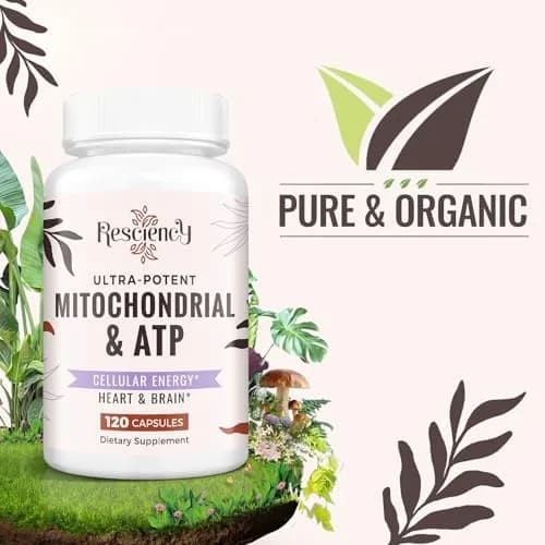 Resciency 2326 MG mitochondrial supplement 120 capsules | Organic energy & endurance support thumbnail 2