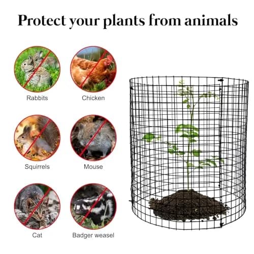 YEXEXINM Metal Plant Protector 12'' x 12'' | Garden Animal Barrier for Small Plants thumbnail 4