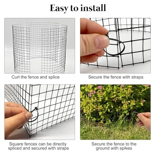 YEXEXINM Metal Plant Protector 12'' x 12'' | Garden Animal Barrier for Small Plants thumbnail 5