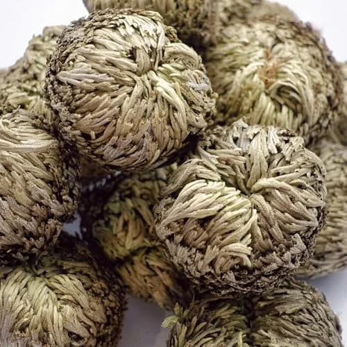 EquSym 7 Pack Rose of Jericho Dried Plants 2.5-3.5in | Natural Resurrection Plant for Spiritual Purification & Home Decor thumbnail 7
