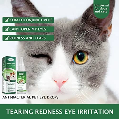 QRZBPZWE Pet Eye Drops for Dogs & Cats 60ml (2 Fl Oz) | Gentle Relief for Itching, Irritation & Allergies thumbnail 6