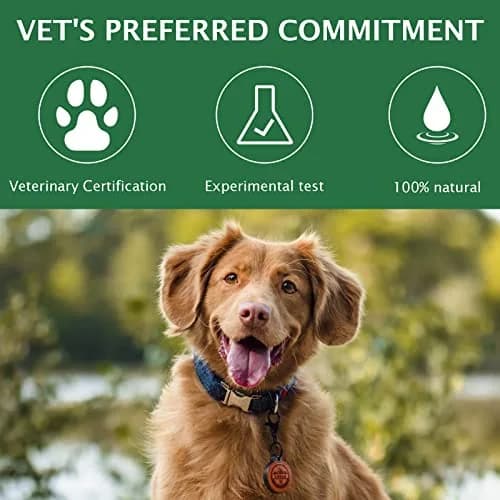 QRZBPZWE Pet Eye Drops for Dogs & Cats 60ml (2 Fl Oz) | Gentle Relief for Itching, Irritation & Allergies thumbnail 2