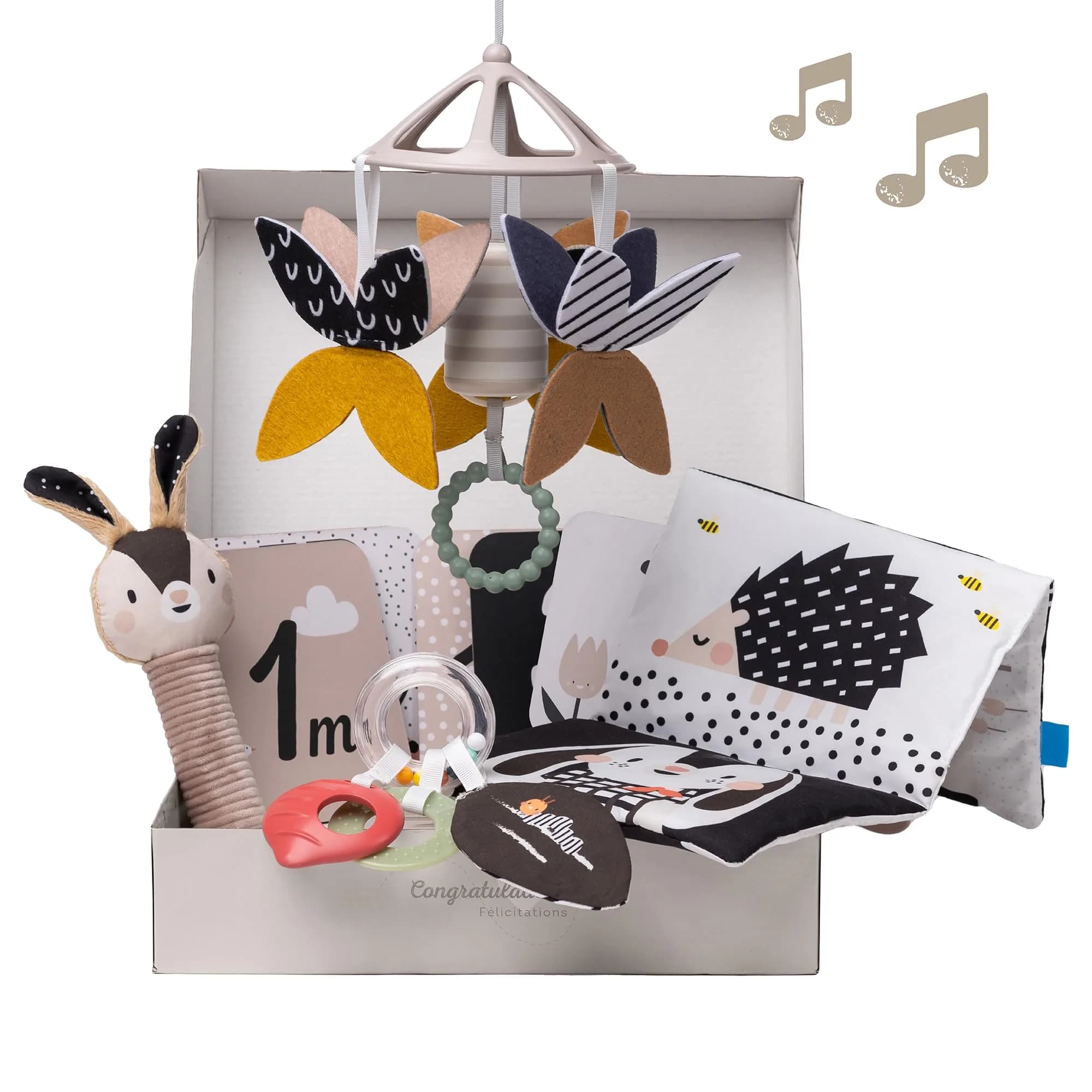 Taf Toys High Contrast Black and White Baby Toys Kit - 10 Developmental Infant Toys for Newborn - Sensory & Tummy Time Toys - BPA, Phthalate, PVC-Free | Supports Early Visual & Motor Growth — Assorted