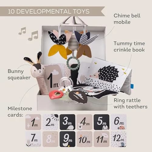 Taf Toys High Contrast Black and White Baby Toys Kit - 10 Developmental Infant Toys for Newborn - Sensory & Tummy Time Toys - BPA, Phthalate, PVC-Free | Supports Early Visual & Motor Growth thumbnail 2
