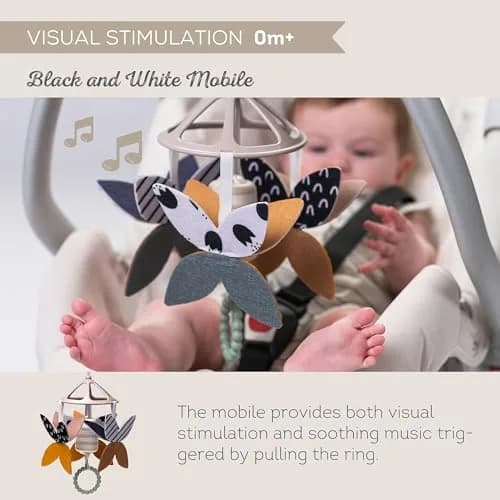 Taf Toys High Contrast Black and White Baby Toys Kit - 10 Developmental Infant Toys for Newborn - Sensory & Tummy Time Toys - BPA, Phthalate, PVC-Free | Supports Early Visual & Motor Growth thumbnail 3