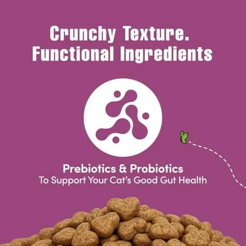 Get Naked Digestive Health Crunchy Cat Treats 2.5oz (70g) Chicken Flavor | Supports Digestion & Dental Health thumbnail 4