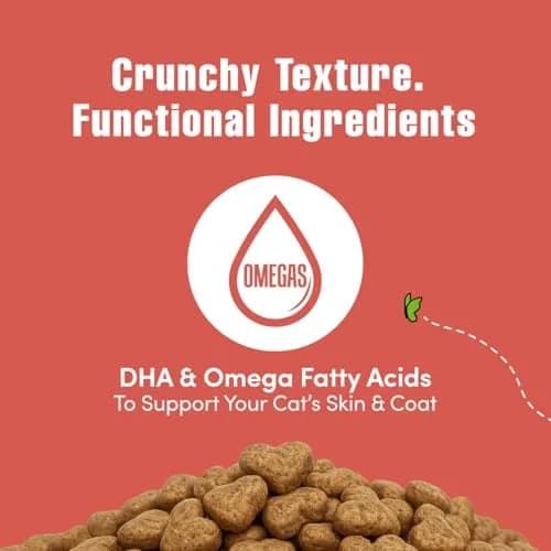 Get Naked Cat Calming Treats Salmon & Cheese Flavor, Crunchy, Calming Health, 6 oz (170 g) Bag | Functional Ingredients for Cat Anxiety Relief thumbnail 4