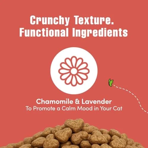 Get Naked Cat Calming Treats Salmon & Cheese Flavor, Crunchy, Calming Health, 6 oz (170 g) Bag | Functional Ingredients for Cat Anxiety Relief thumbnail 5