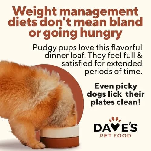 Dave's Pet Food Weight Management Dog Food, Turkey & Vegetables, 13.2 oz | Supports Weight Loss & Energy thumbnail 4