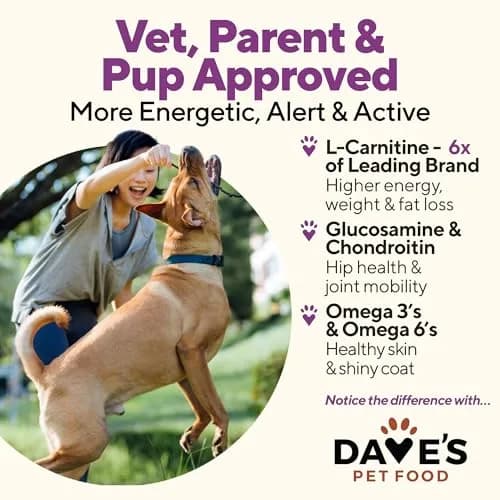 Dave's Pet Food Weight Management Dog Food, Turkey & Vegetables, 13.2 oz | Supports Weight Loss & Energy thumbnail 5