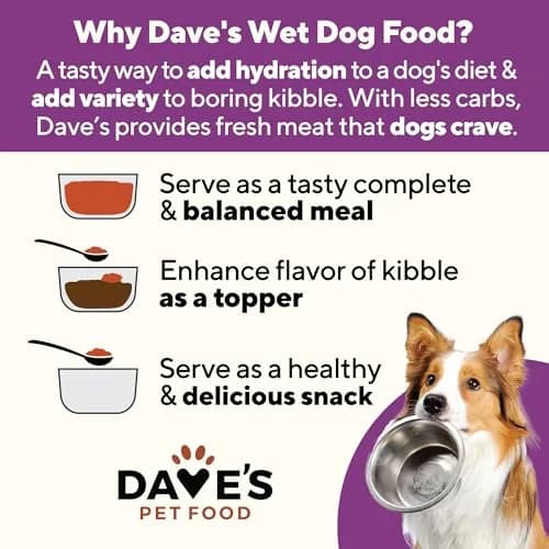 Dave's Pet Food Weight Management Dog Food, Turkey & Vegetables, 13.2 oz | Supports Weight Loss & Energy thumbnail 8